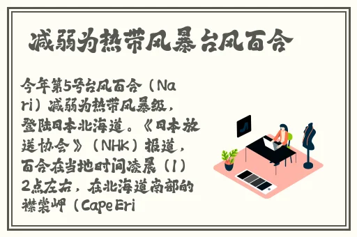 不小心看见六年级的大馒头